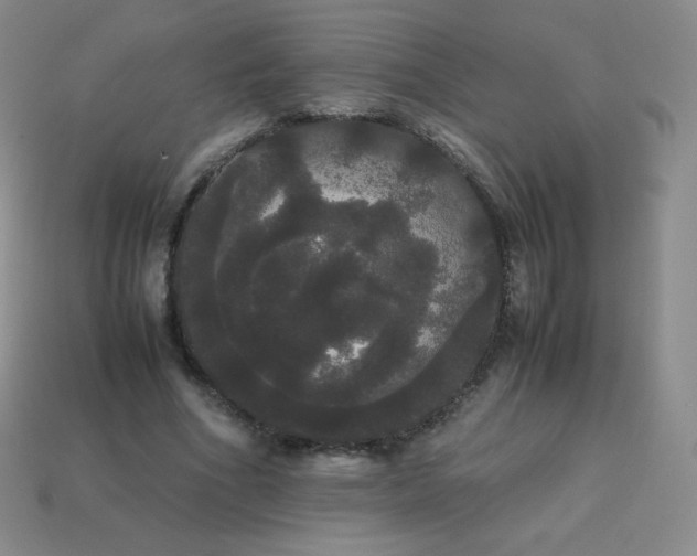 X0000113850586200910081647