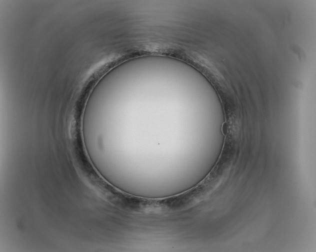 X0000113850587200910081647