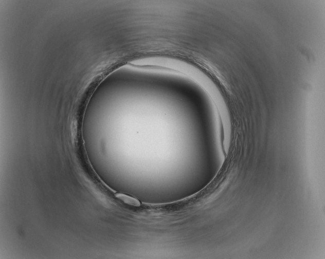 X0000113850589200910081647