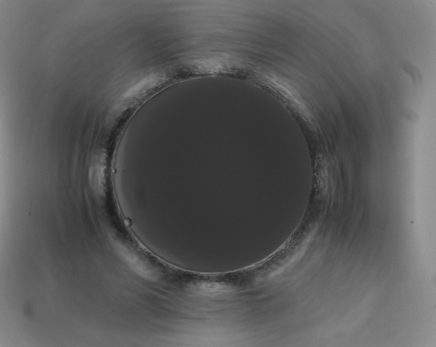 X0000113850590200910081647