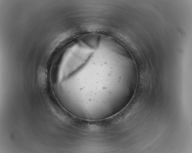 X0000113850592200910081647