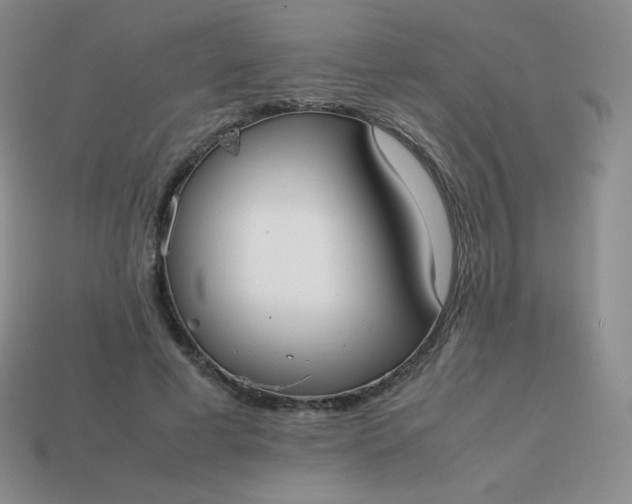 X0000113850593200910081647