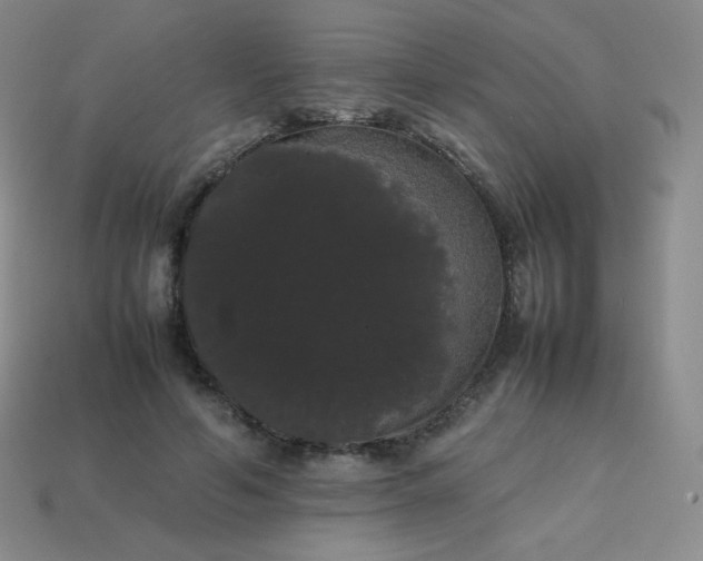 X0000113850594200910081647