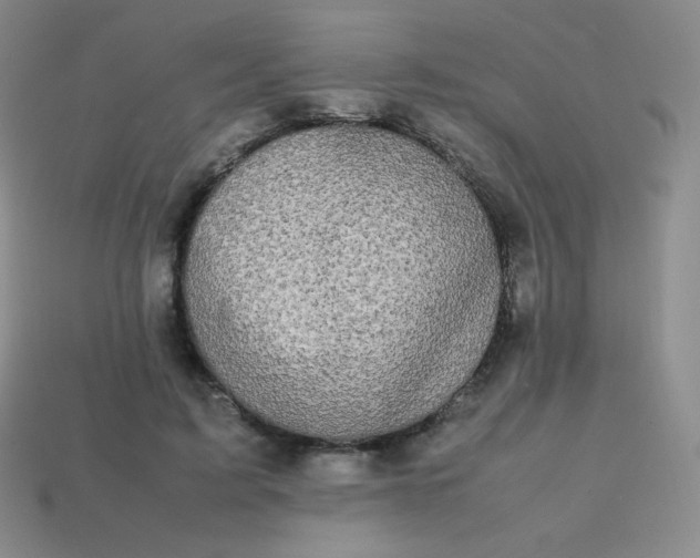 X0000113850595200910081647