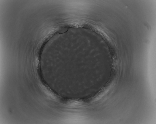 X0000113850597200910081647