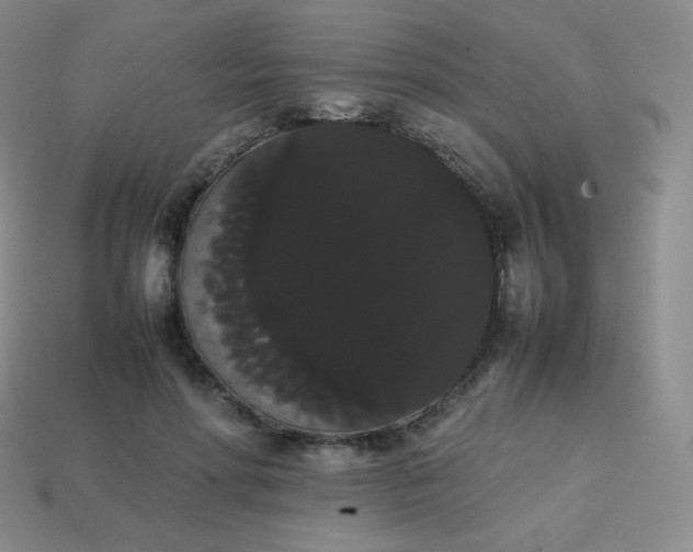 X0000113850598200910081647