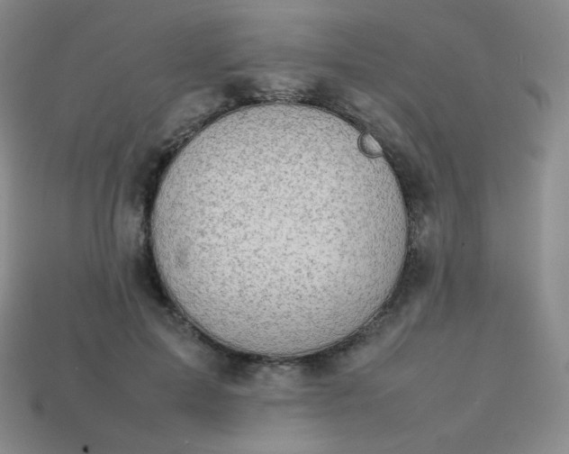 X0000113850599200910081647