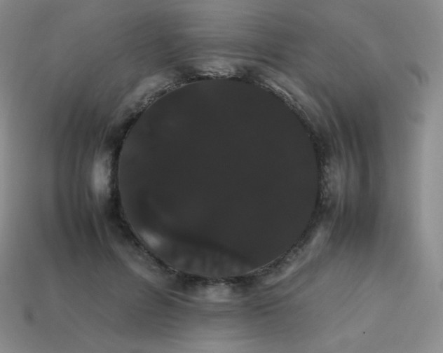 X0000113850600200910081647