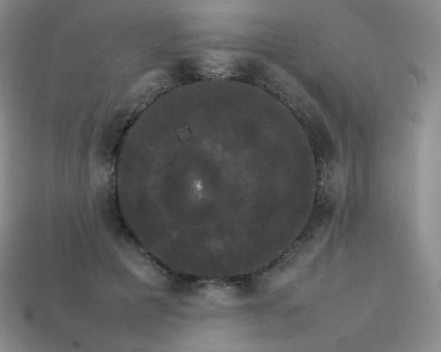 X0000113850601200910081647