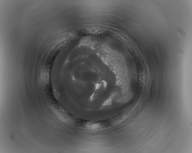 X0000113850602200910081647