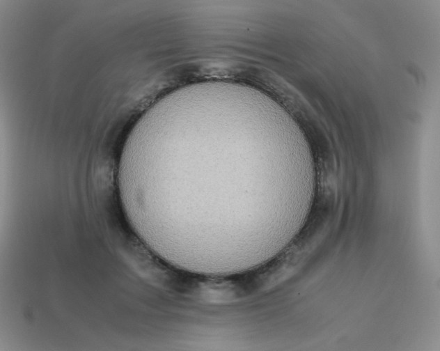 X0000113850603200910081647