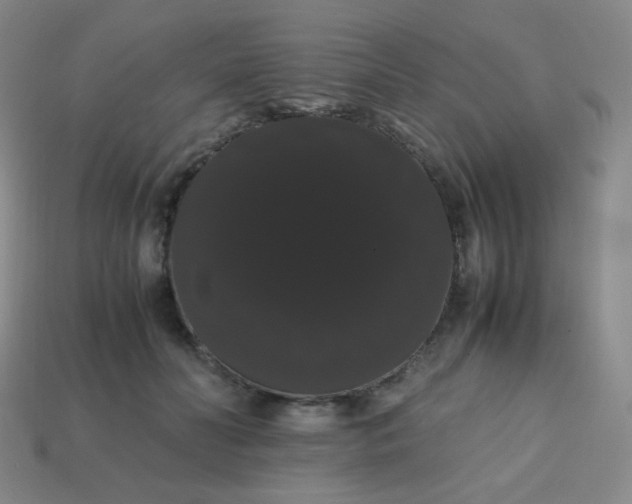 X0000113850606200910081647