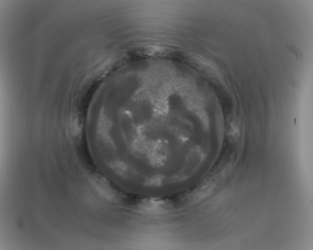 X0000113850607200910081647