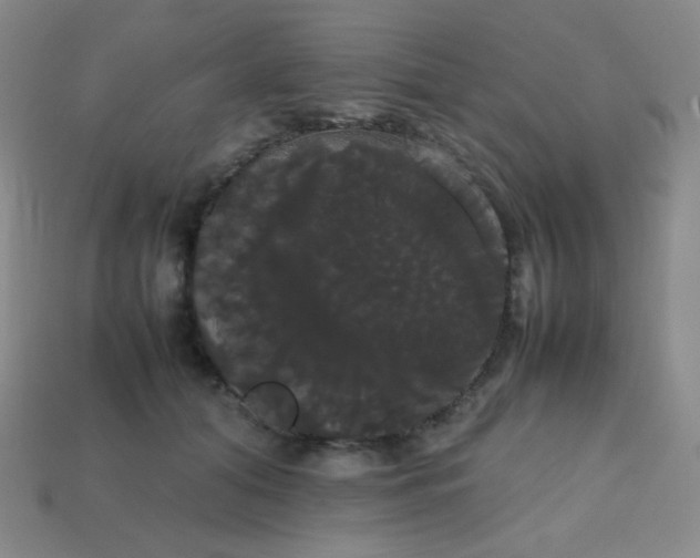 X0000113850608200910081647