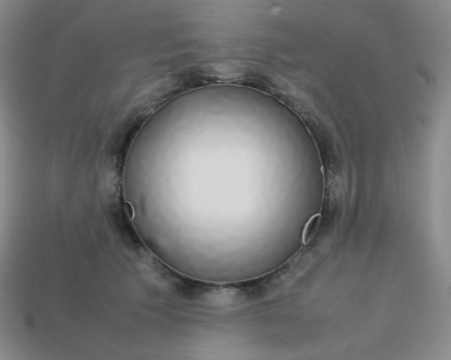 X0000113850609200910081647