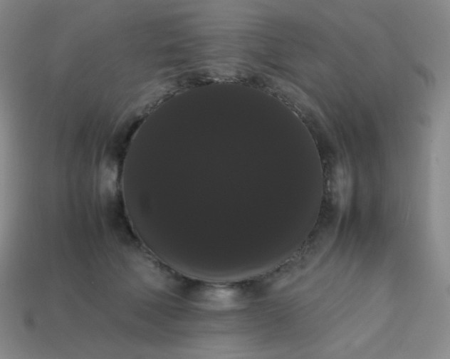 X0000113850610200910081647