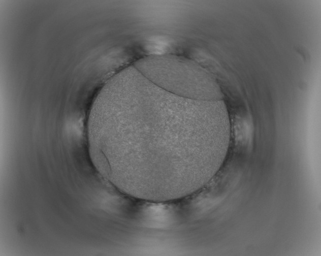 X0000113850611200910081647