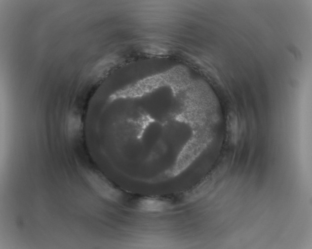 X0000113850614200910081647