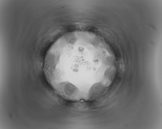 X0000113850615200910081647