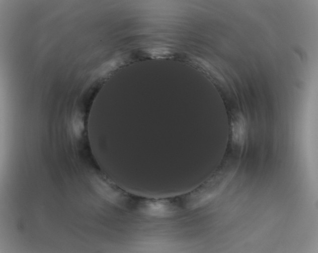 X0000113850618200910081647