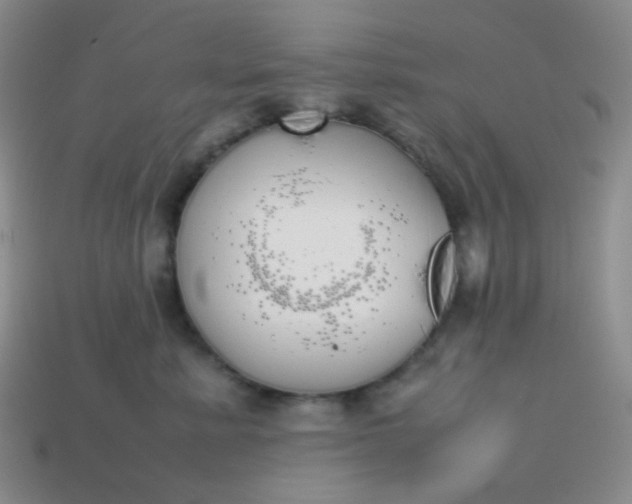 X0000113850619200910081647