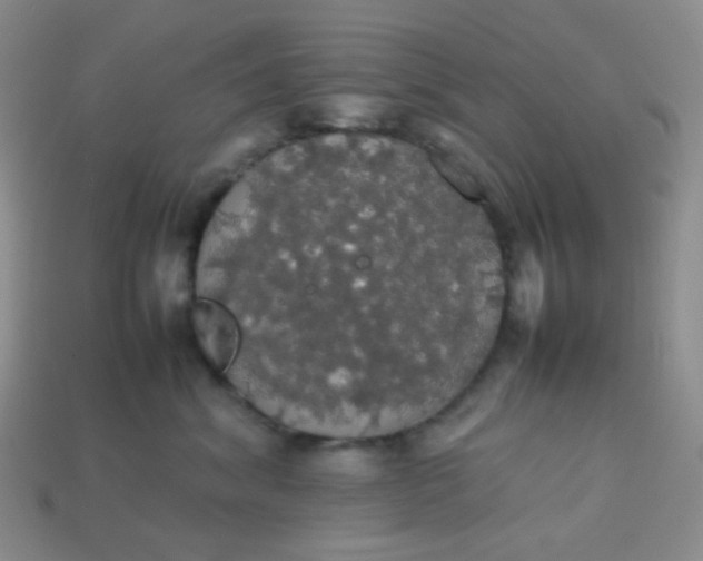 X0000113850620200910081647