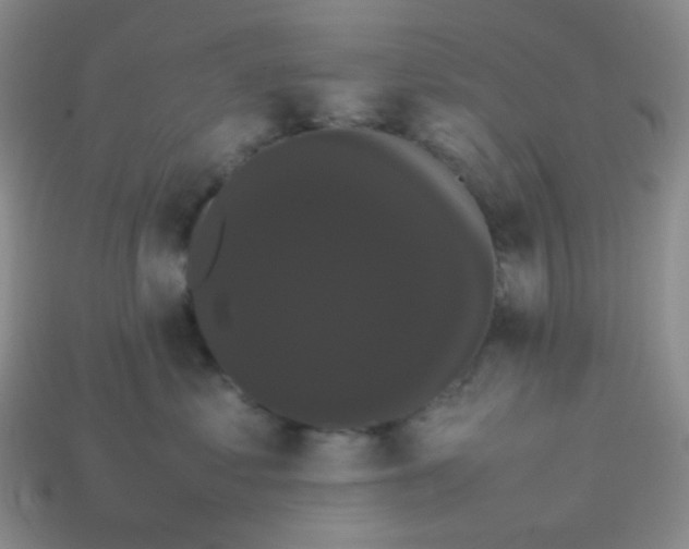 X0000113850621200910081647