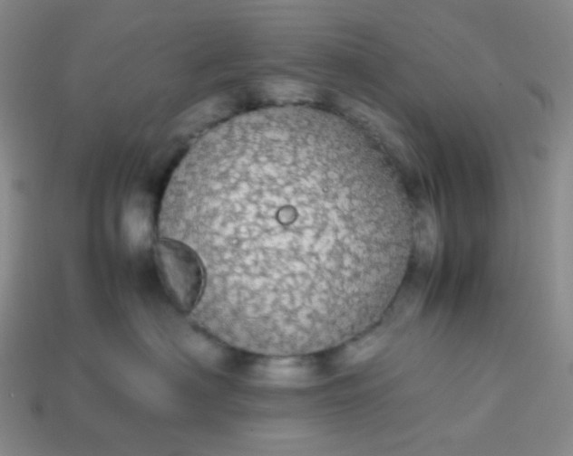 X0000113850622200910081647