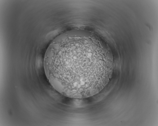 X0000113850623200910081647