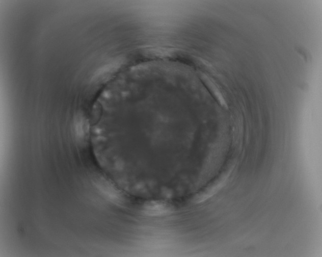 X0000113850624200910081647