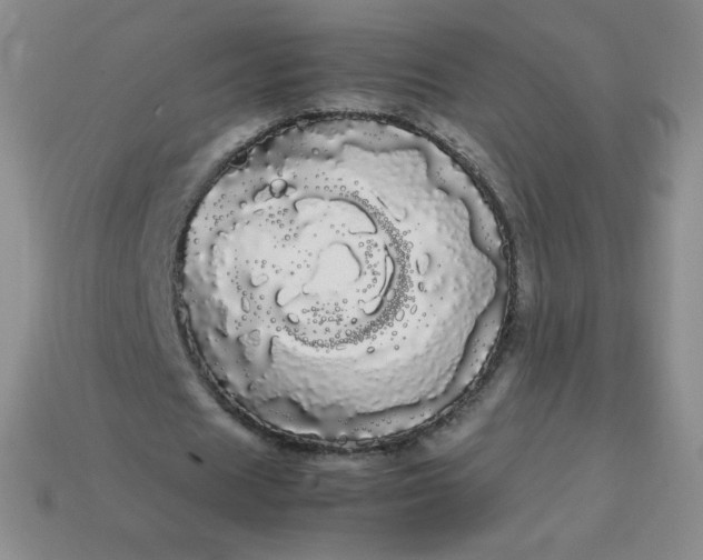 X0000113850625200910081646