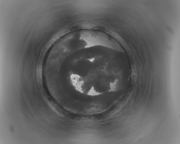 X0000113850626200910081646