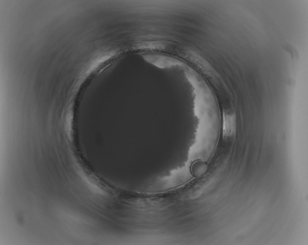 X0000113850627200910081646