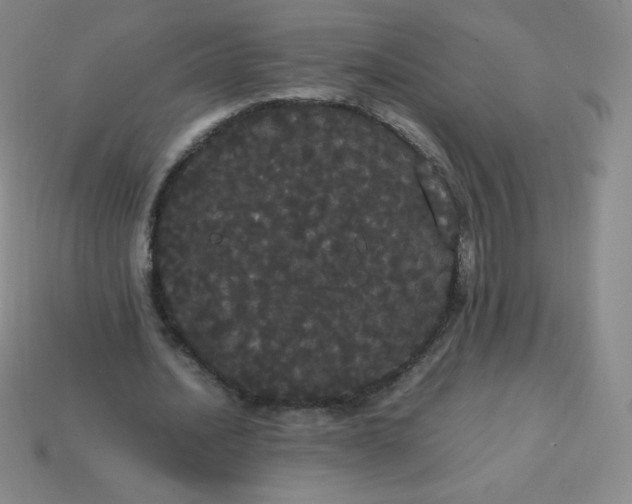 X0000113850628200910081646