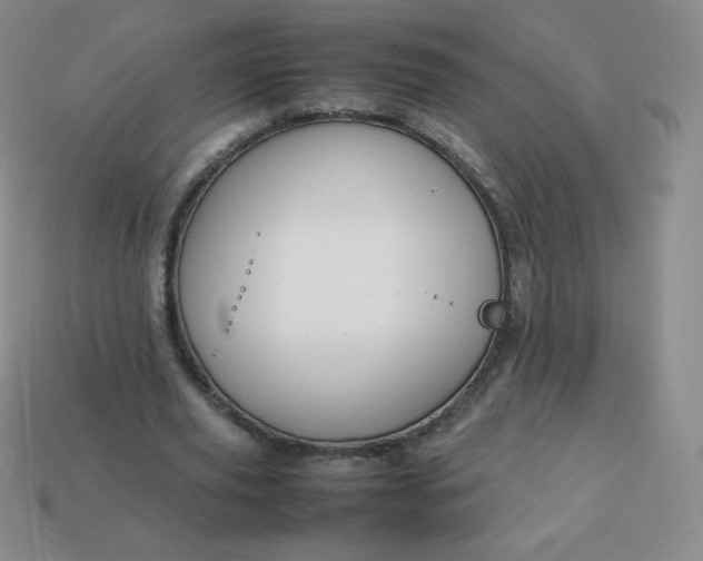 X0000113850629200910081646