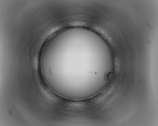 X0000113850631200910081646