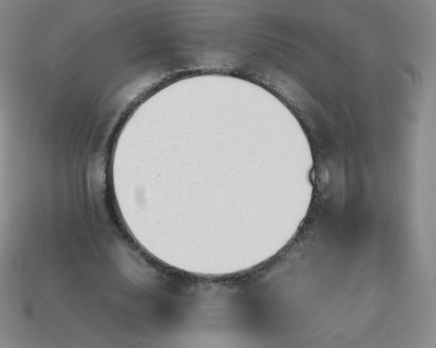 X0000113850632200910081646