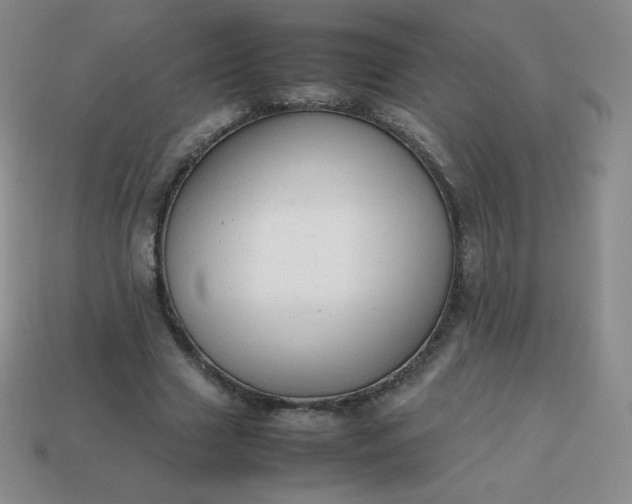 X0000113850633200910081646