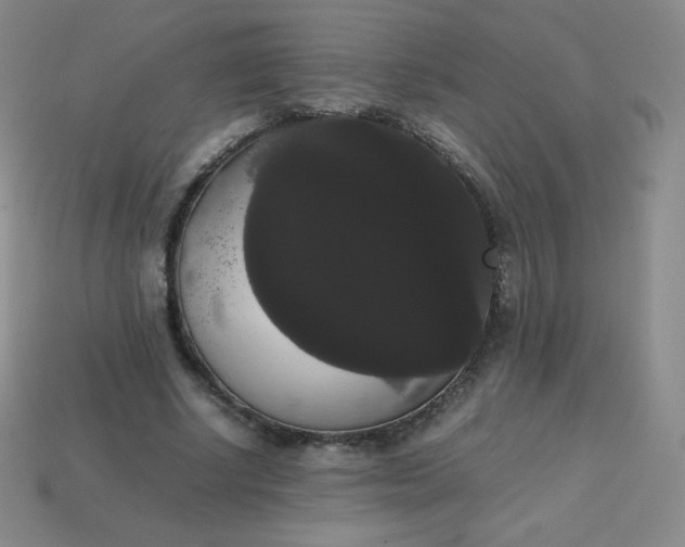 X0000113850634200910081646