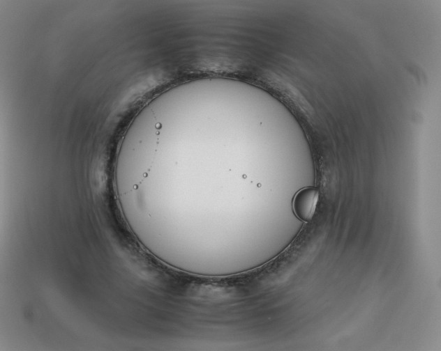 X0000113850635200910081646