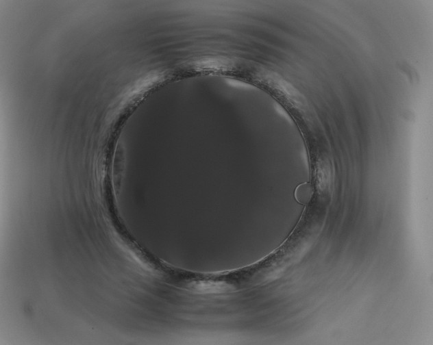 X0000113850637200910081646