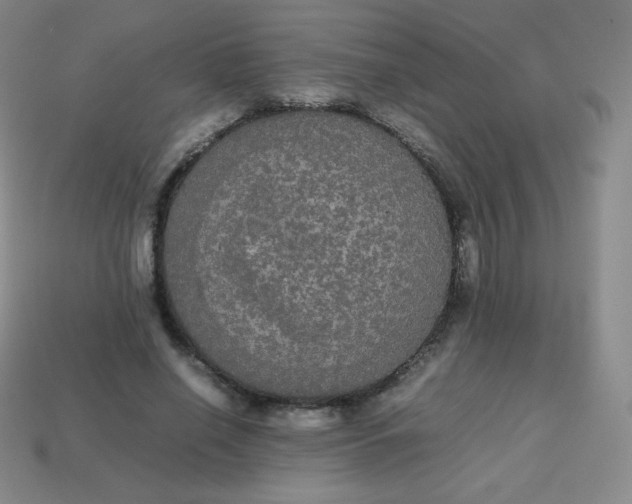 X0000113850638200910081646