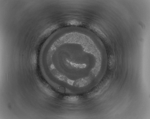 X0000113850639200910081646