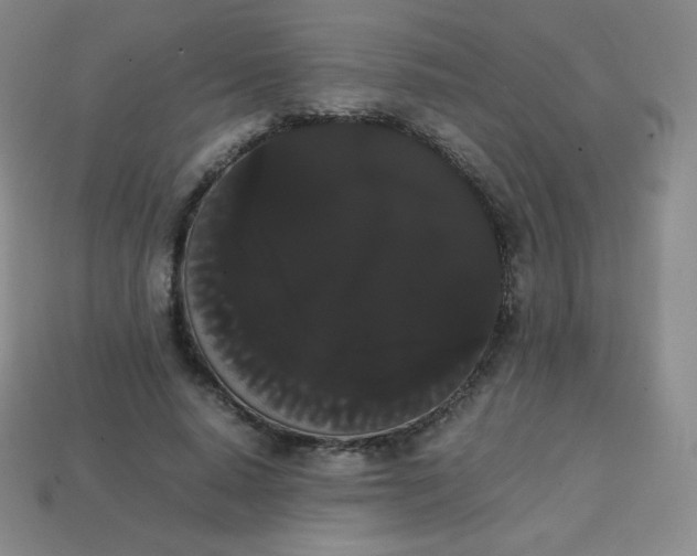 X0000113850640200910081646