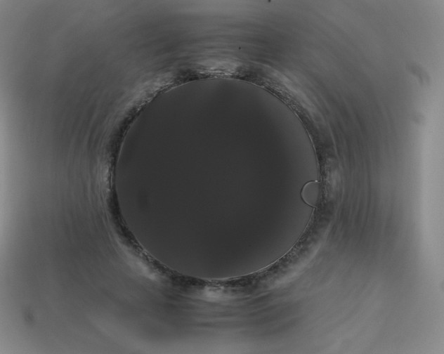 X0000113850641200910081646