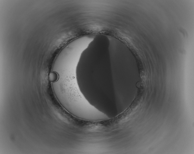 X0000113850642200910081646