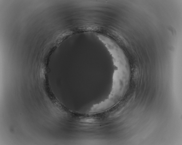 X0000113850643200910081646