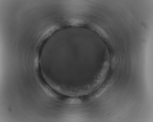 X0000113850644200910081646