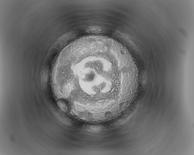 X0000113850645200910081646