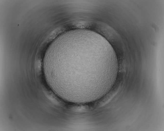 X0000113850646200910081646